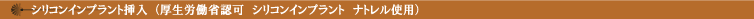 シリコンインプラント挿入（厚生労働省認可　シリコンインプラント　ナトレル使用）