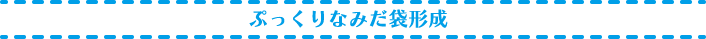 ぷっくりなみだ袋形成